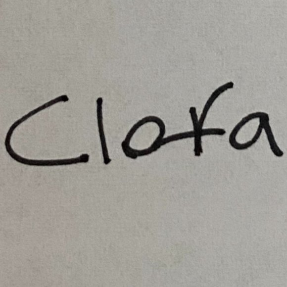 Ted Baker Gray Bir Print Dress Size 0 US size 2 - Picture 8 of 8